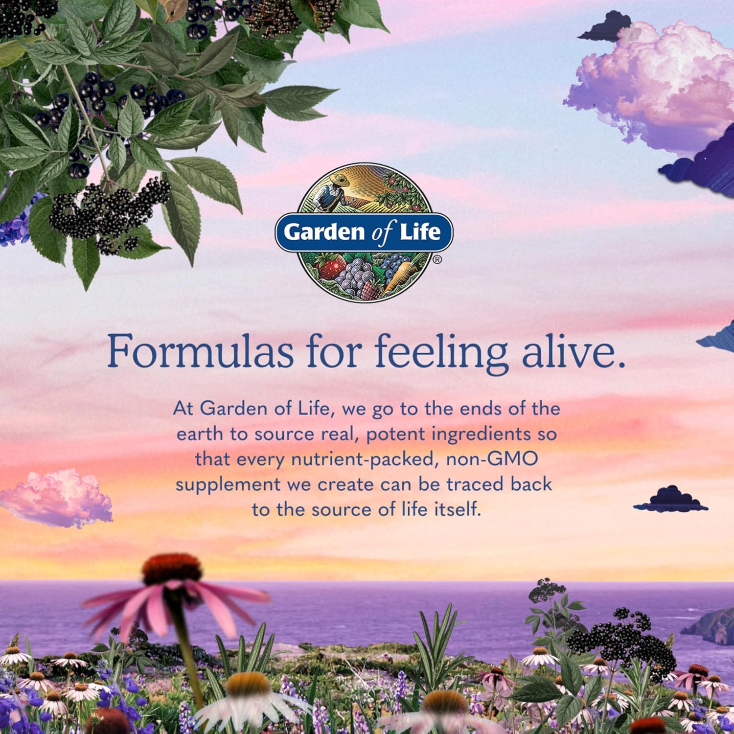 Garden of Life Organics Women 40+ Multivitamin, Vegan, 120 Tablets - Image 8