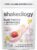 Shakeology 0g Added Sugar Plant-Based Protein – Tropical Strawberry, 7 Serv